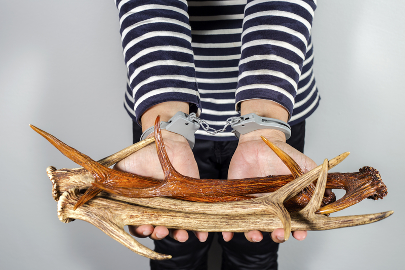 waste disposal waste collectors